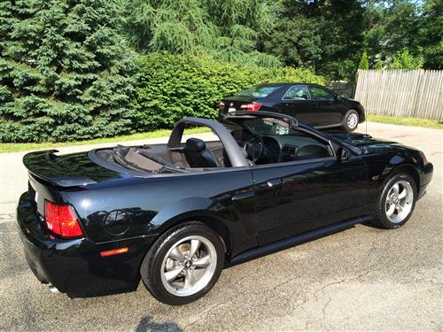 Mustang Dark Charcoal Convertible Light Bar 99 04 101002 Previous Next