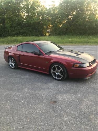 Mustang 03 04 Cobra Style Fibergl Hood 99 V6 Gt 1158 Previous Next