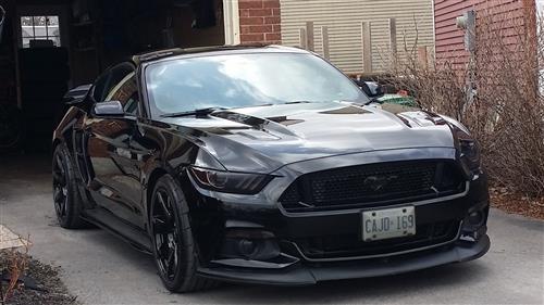 Mustang Cervini Stalker Side Scoops | (15-21) - LMR