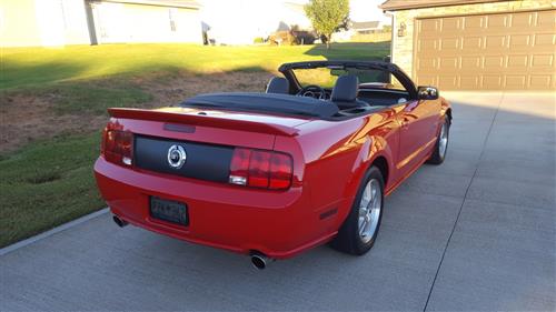 2005-2009 Ford Mustang Rear Deck Lid Trunk Honeycomb Blackout Vinyl Decal