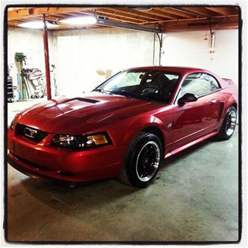 2001-04 Ford Mustang Tinted Headlights - LMR.com