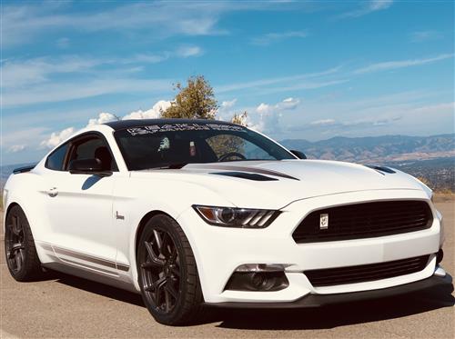 coyote emblem mustang mf grille