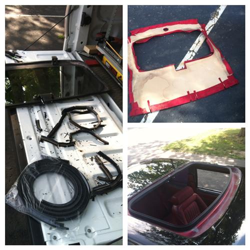 Mustang Sunroof Weatherstrip Kit (7993)