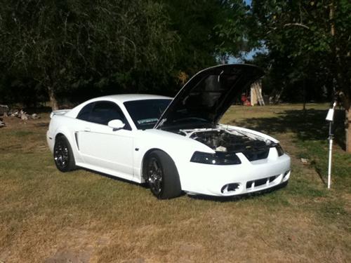 2003 Ford mustang cobra front bumper for sale #3