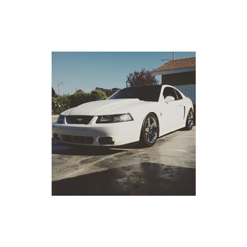 Mustang Header Panel (9904)