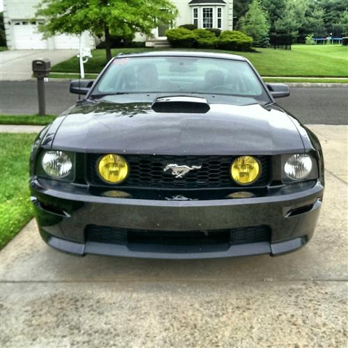 Mustang Yellow Fog Light Tint (0509) GT