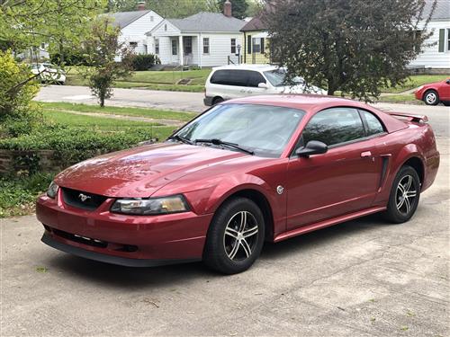 SVE Mustang Mach 1 Grille Delete & Chin Spoiler Kit (99-04)