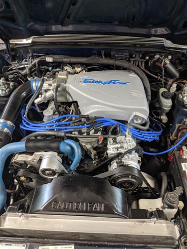 Trick Flow Mustang Top End Kit W Track Heat Intake